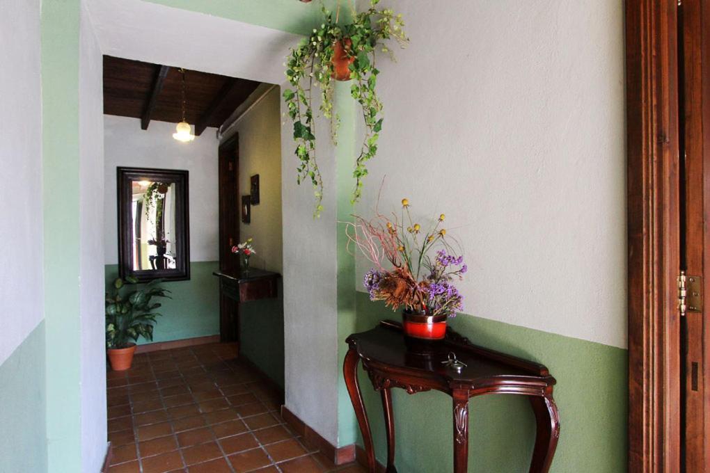 Casa Rural Los Aromos - Wunderschones Landhaus Mit Meerblick Hermigua Exterior foto